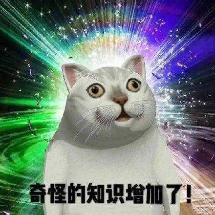 这都是些什么神仙网站，太好玩了吧